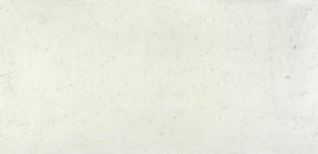 Ariel - Silestone Worktop