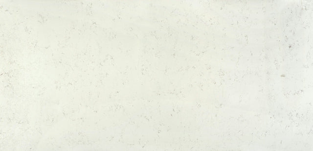 Ariel - Silestone Worktop