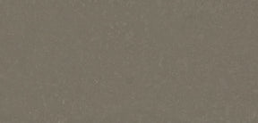 Brass Relish - Silestone Worktop