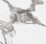 Lamar Massimo Arabescato - Porcelain Worktop