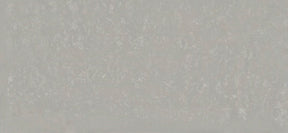 Poblenou - Silestone Worktop