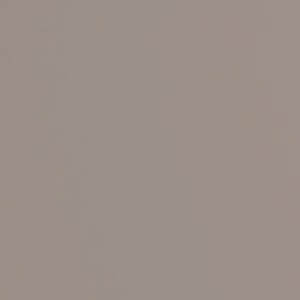 Stone Grey (SM)