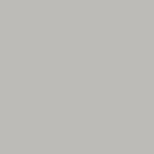 Light Grey High Gloss