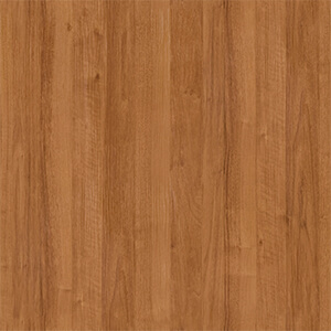 Lacquered Oak
