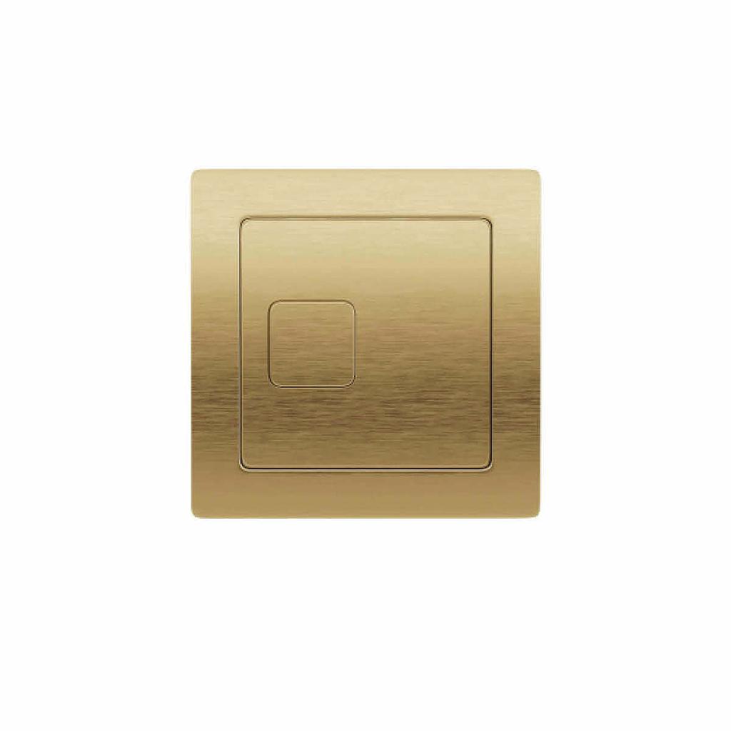 Brass Dual Flush Plate Square