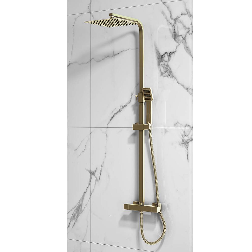 Elliot Square Rigid Riser Shower in Brushed Brass