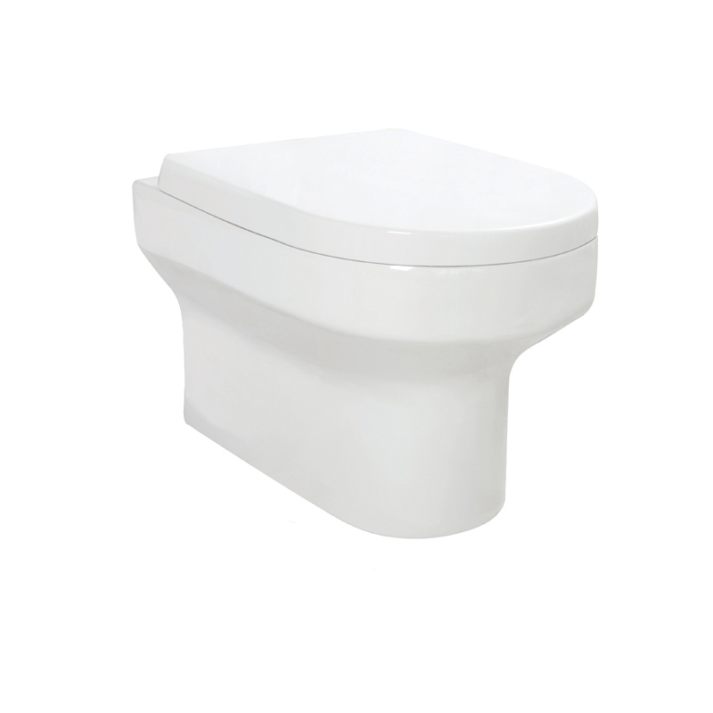 Spa Wall Hung Pan & D Shape Soft Close Seat (Complete)