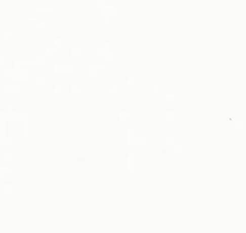 Super White - Quartz Worktop